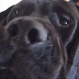 Meet your Posher, Khloe